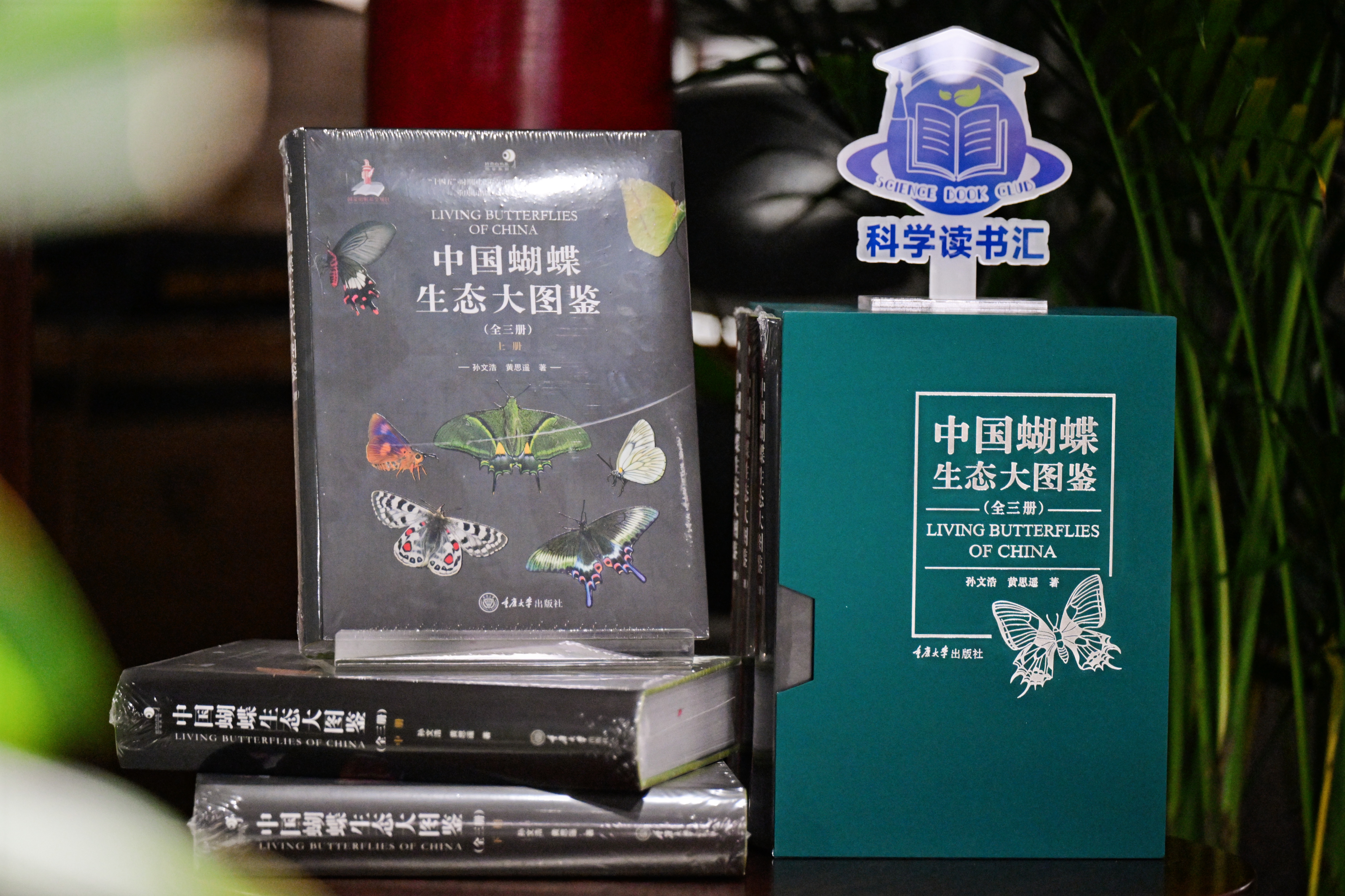 WEK_6068